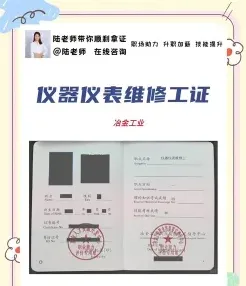 能力