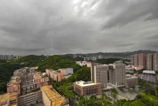 学校