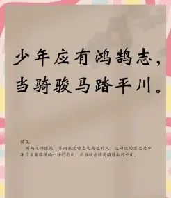 志向