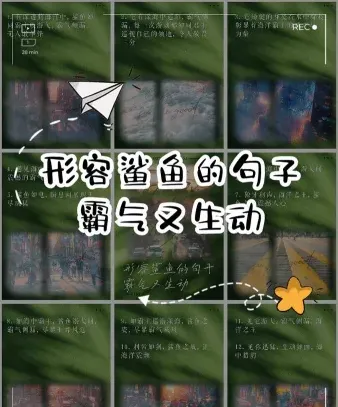 黑夜中