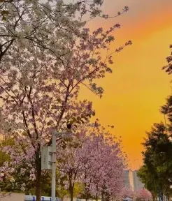 城市职业学院