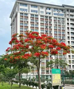 私立华联学院