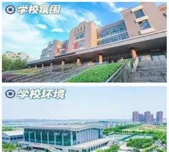 学校