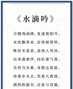 姊妹