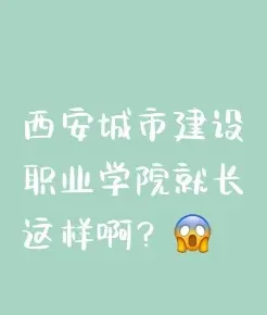 学院