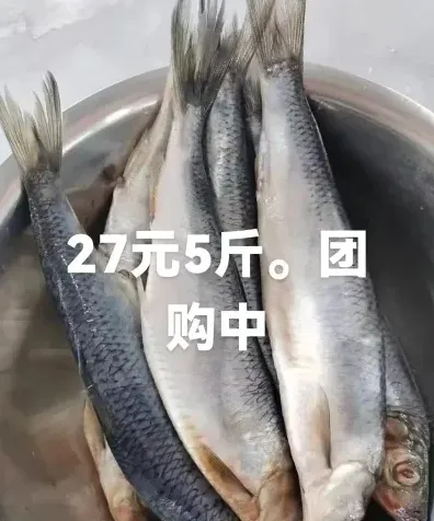 腌鱼