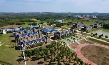 学校
