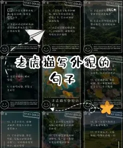 老虎