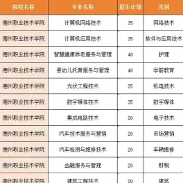 专业