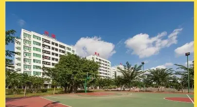 计划