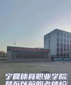 体育