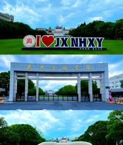 中心