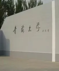学院