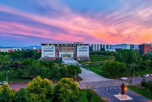 学校