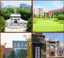 专业
