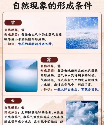 广属
