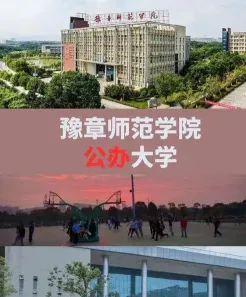 特色