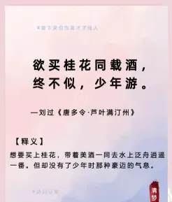 窦娥冤