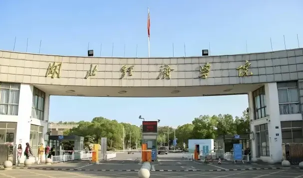 中心