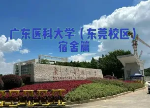 中心