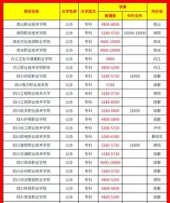 高水平大学