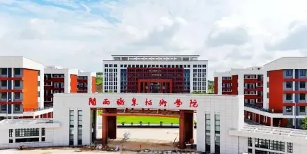 专业
