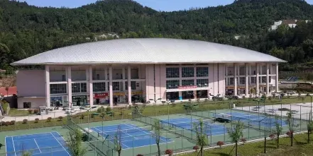 学校