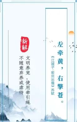 城市
