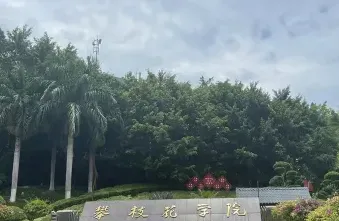 学院