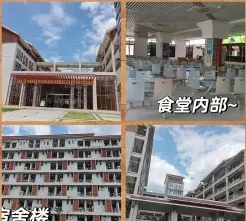 专任教师