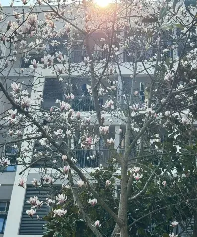 特色