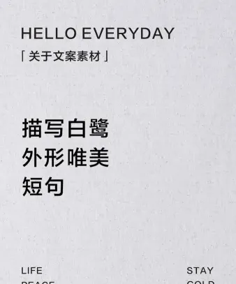 白鹭
