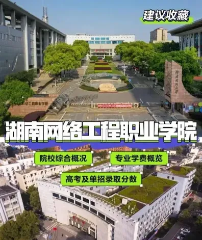 技术专业