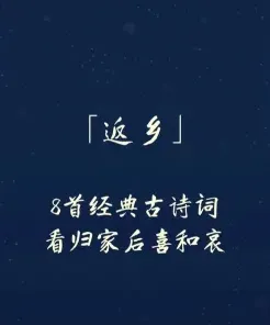 王维