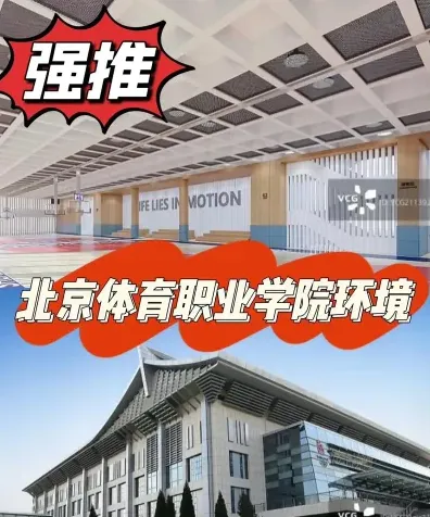 体育