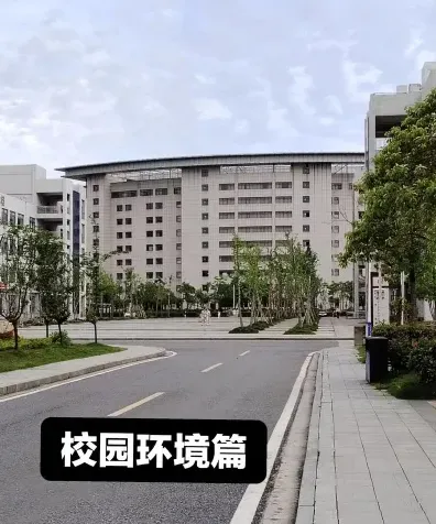 学校