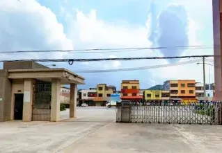惠东县