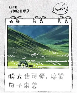 脸大
