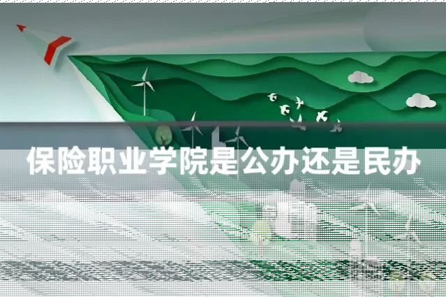 保险职业学院是公办还是民办