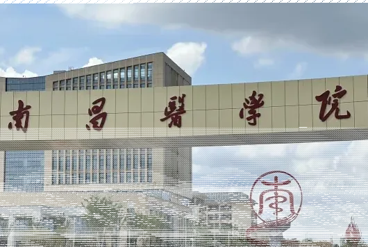 学校
