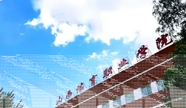 学院