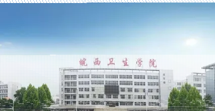 专业
