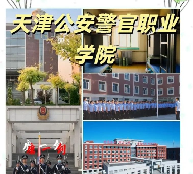天津公安