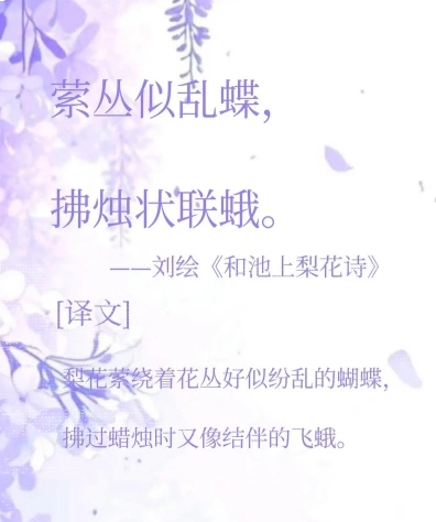 中家