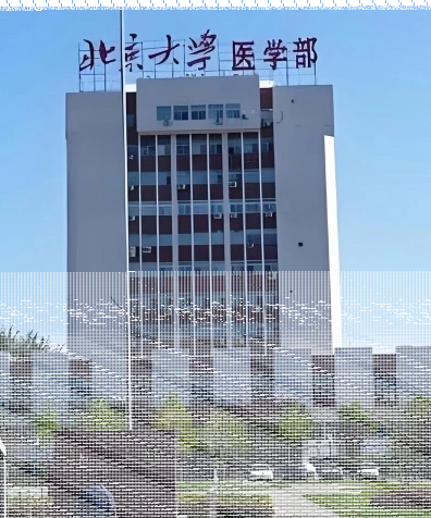 北京大学医学部