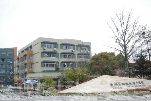 专业