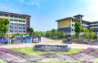 专任教师