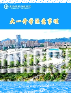 特色