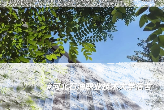 河北工业大学