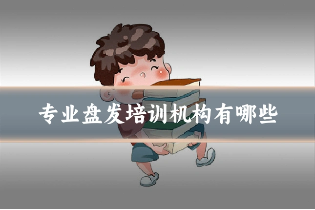 专业盘发培训机构有哪些